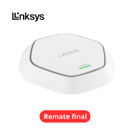 LAPN300